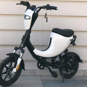 DYU L1 EGRET - Bicicleta Eléctrica en Venta - 900€