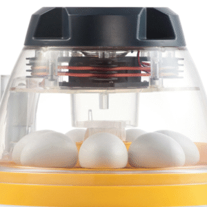 🐣 Incubadora Brinsea Mini II EX