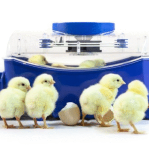 Incubadora Borotto LUMIA 8