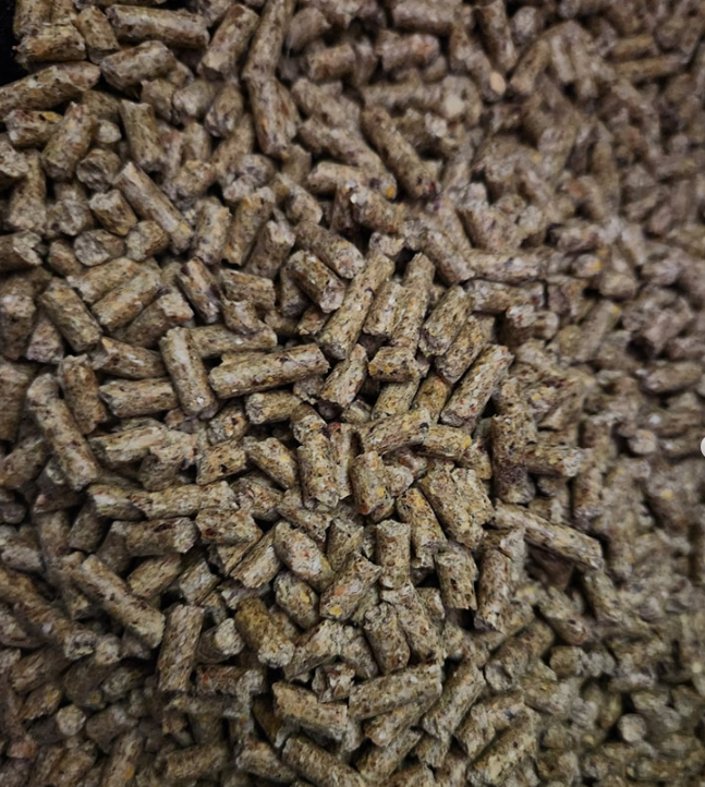 Animal Feed for Sale