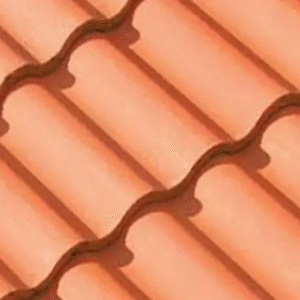 Teja Marley Double Roman