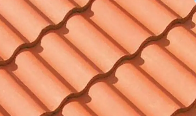 Teja Marley Double Roman